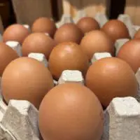 Frische braune Eier aus artgerechter Hühnerhaltung direkt vom Hof Bimöhlen in einer Eierpappe.